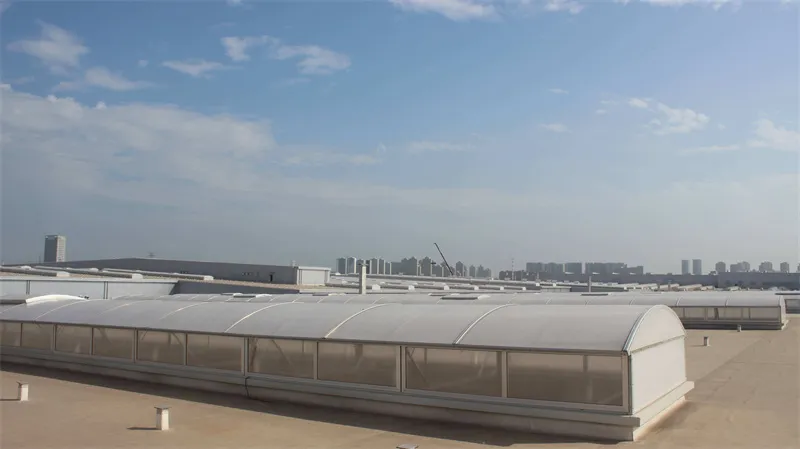 电动采光排烟天窗